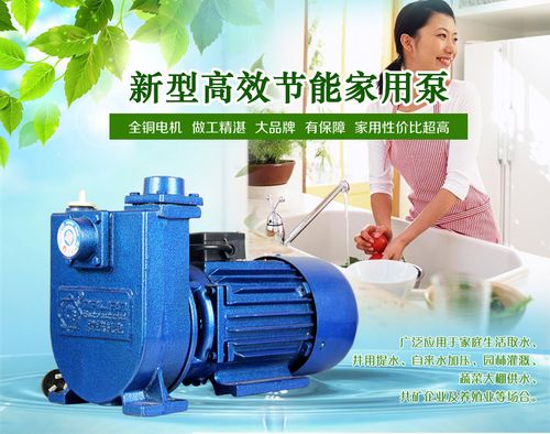 离心泵高效节能家用抽水机高扬程自来水热水器增压泵_产品